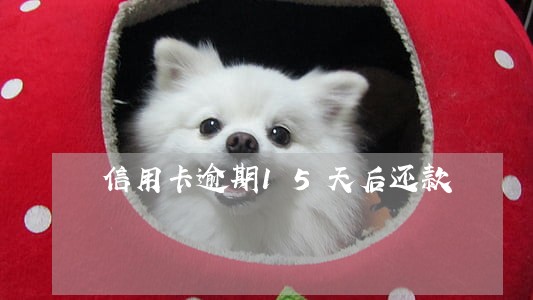 信用卡逾期15天后还款 信用卡逾期15天后还款