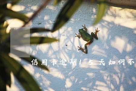 信用卡逾期15天如何不上征信 信用卡逾期15天如何不上征信