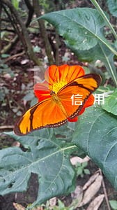 信用卡逾期15天左右会怎样 信用卡逾期15天左右会怎样