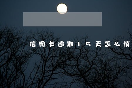 信用卡逾期15天怎么消除 信用卡逾期15天怎么消除