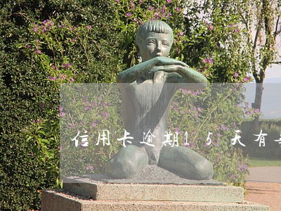 信用卡逾期15天有事 信用卡逾期15天有事