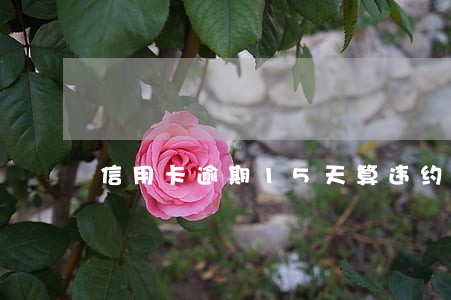 信用卡逾期15天算违约吗