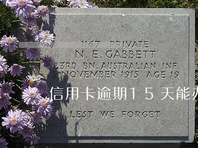 信用卡逾期15天能办其他卡吗