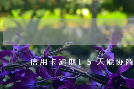 信用卡逾期15天能协商分期吗 信用卡逾期15天能协商分期吗