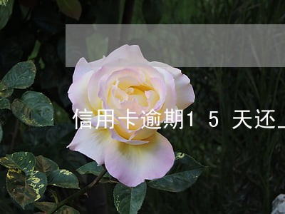 信用卡逾期15天还上还能用吗 信用卡逾期15天还上还能用吗
