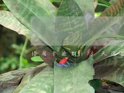 信用卡逾期15天还款注销了 信用卡逾期15天还款注销了