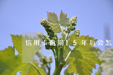 信用卡逾期15年后会怎么样 信用卡逾期15年后会怎么样