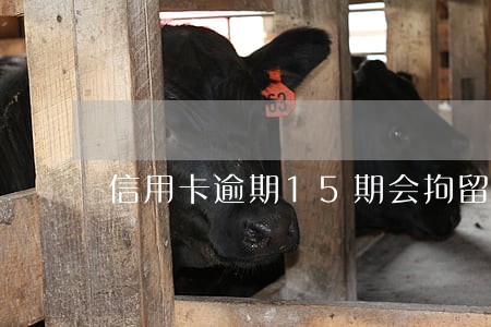 信用卡逾期15期会拘留吗 信用卡逾期15期会拘留吗