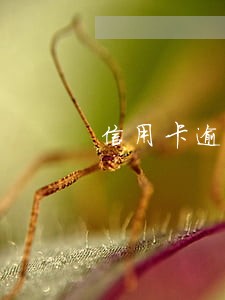 信用卡逾期15次严重嘛