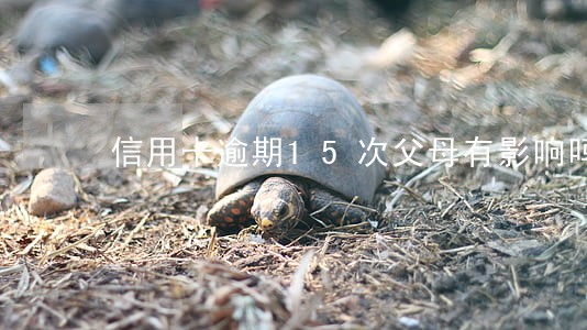 信用卡逾期15次父母有影响吗