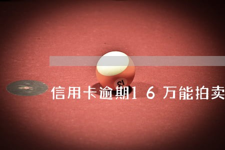 信用卡逾期16万能拍卖吗 信用卡逾期16万能拍卖吗
