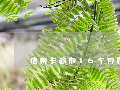 信用卡逾期16个月算几次 信用卡逾期16个月算几次