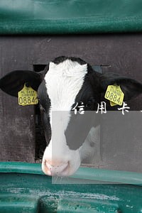 信用卡逾期16年