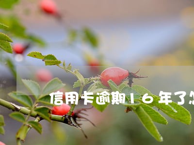 信用卡逾期16年了怎么消除 信用卡逾期16年了怎么消除