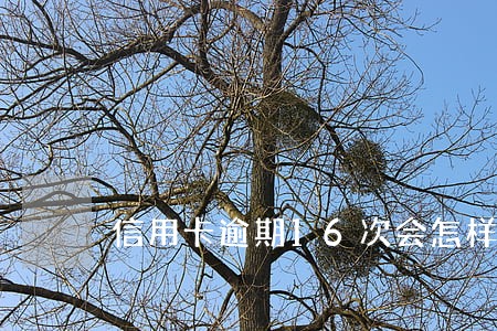 信用卡逾期16次会怎样 信用卡逾期16次会怎样