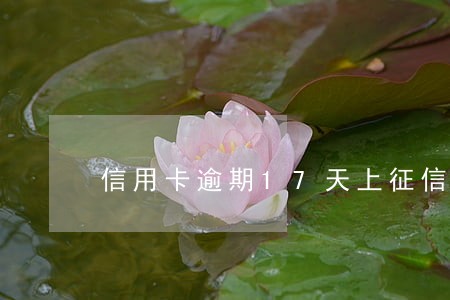 信用卡逾期17天上征信影响大吗