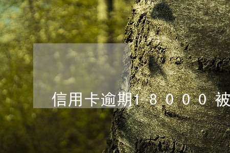 信用卡逾期18000被立案 信用卡逾期18000被立案
