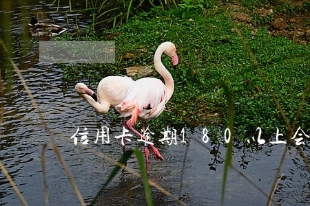 信用卡逾期180以上会怎样