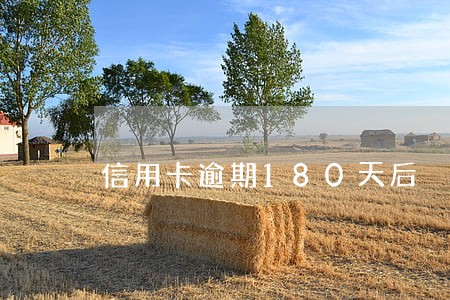 信用卡逾期180天后 信用卡逾期180天后
