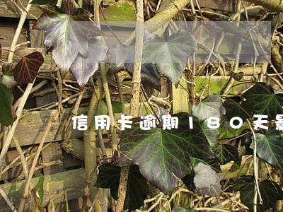 信用卡逾期180天影响 信用卡逾期180天影响