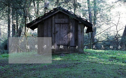 信用卡逾期180天怎的办 信用卡逾期180天怎的办