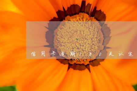 信用卡逾期180天认定为呆账 信用卡逾期180天认定为呆账