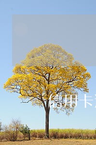 信用卡逾期18万一年利息多少 信用卡逾期18万一年利息多少