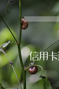 信用卡逾期18万会坐牢吗 信用卡逾期18万会坐牢吗
