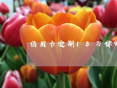 信用卡逾期18万律师打电话 信用卡逾期18万律师打电话