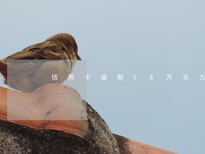 信用卡逾期18万无力偿还怎么办 信用卡逾期18万无力偿还怎么办