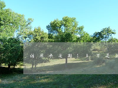 信用卡逾期18万还上还判刑吗 信用卡逾期18万还上还判刑吗