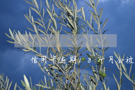 信用卡逾期18个月会被判刑呢 信用卡逾期18个月会被判刑呢
