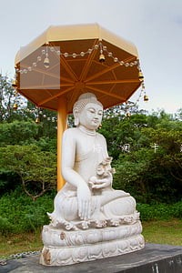 信用卡逾期19万怎么逆袭