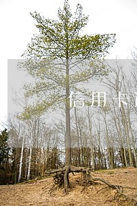 信用卡逾期19天被冻结 信用卡逾期19天被冻结