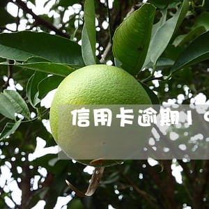 信用卡逾期19月份数车贷 信用卡逾期19月份数车贷