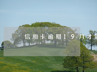 信用卡逾期19月才知道 信用卡逾期19月才知道