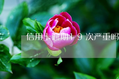 信用卡逾期19次严重吗 信用卡逾期19次严重吗