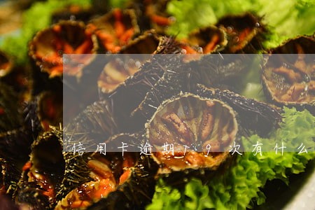 信用卡逾期19次有什么影响
