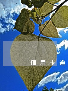信用卡逾期1万一天收多少利息 信用卡逾期1万一天收多少利息