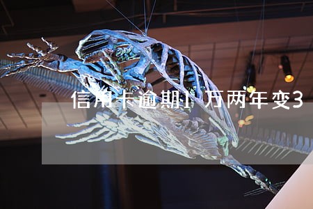 信用卡逾期1万两年变3万 信用卡逾期1万两年变3万