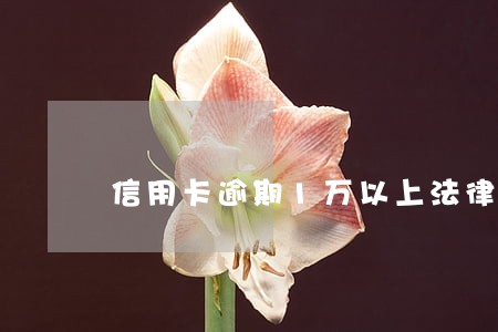 信用卡逾期1万以上法律 信用卡逾期1万以上法律