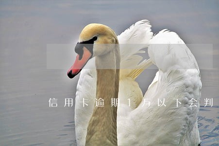 信用卡逾期1万以下会判刑么 信用卡逾期1万以下会判刑么