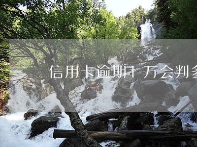 信用卡逾期1万会判多久 信用卡逾期1万会判多久