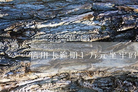 信用卡逾期1万元坐牢吗 信用卡逾期1万元坐牢吗