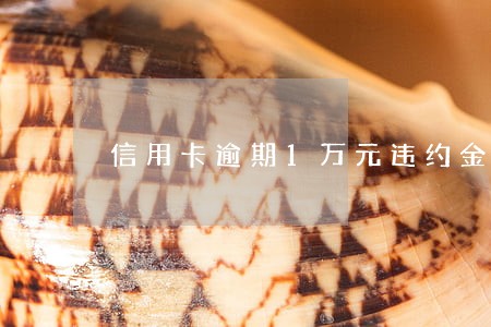 信用卡逾期1万元违约金 信用卡逾期1万元违约金