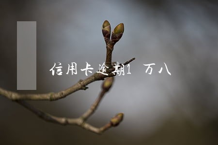 信用卡逾期1万八