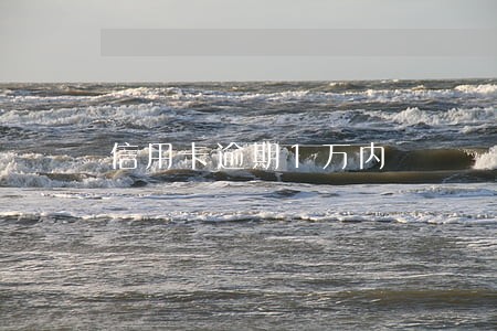信用卡逾期1万内 信用卡逾期1万内