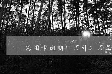 信用卡逾期1万升5万立案标准 信用卡逾期1万升5万立案标准