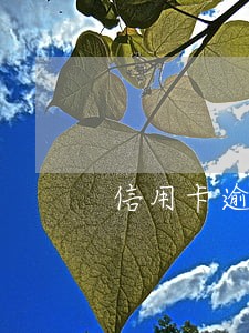 信用卡逾期1万块
