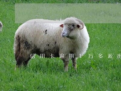 信用卡逾期1万多派出所打电话